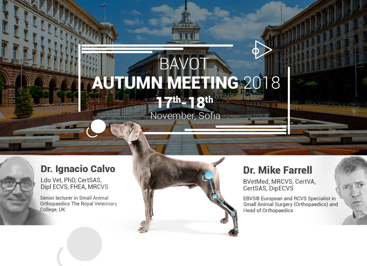 Есенна среща на БАВОТ 2018